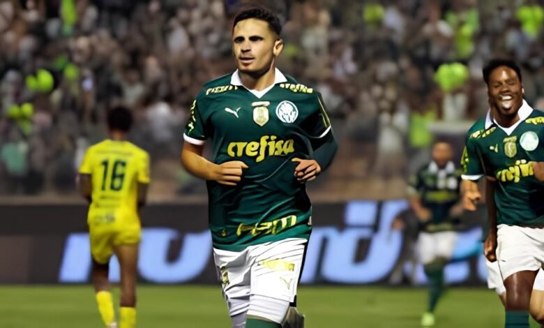 palmeiras o favorito